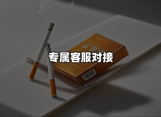 专业优势